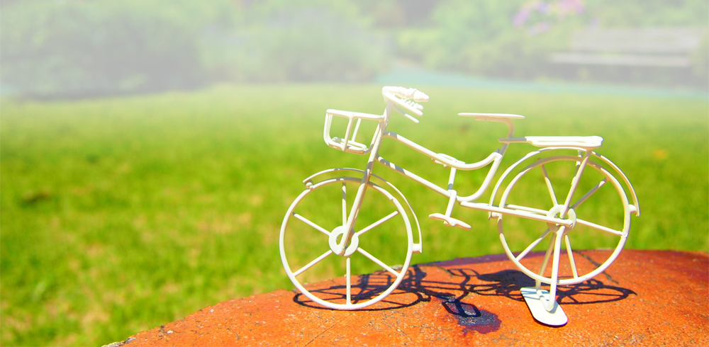 自転車保険イメージ画像